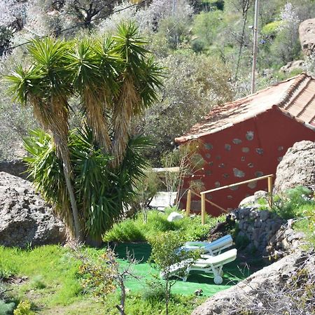 Casa Cueva El Pedregal Tejeda Villa Luaran gambar