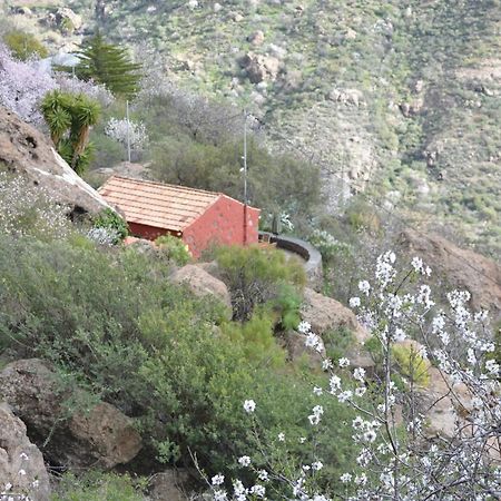 Casa Cueva El Pedregal Tejeda Villa Luaran gambar