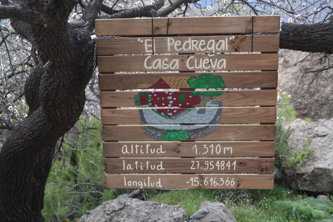 Casa Cueva El Pedregal Tejeda Villa Luaran gambar