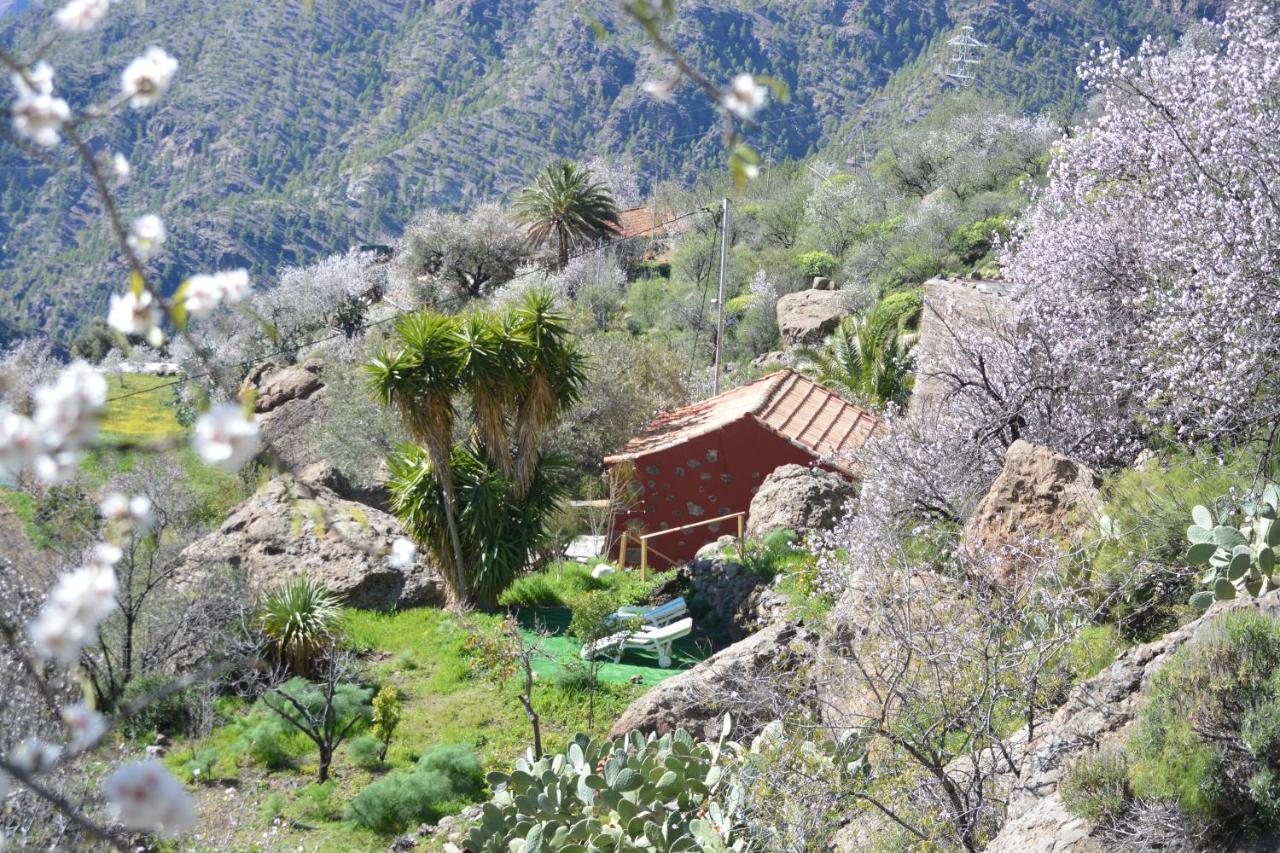 Casa Cueva El Pedregal Tejeda Villa Luaran gambar