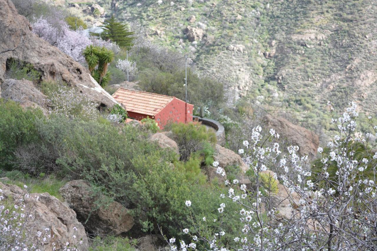 Casa Cueva El Pedregal Tejeda Villa Luaran gambar