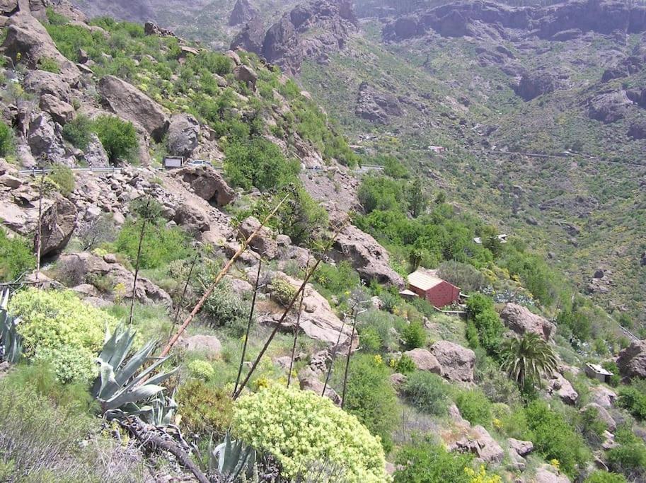 Casa Cueva El Pedregal Tejeda Villa Luaran gambar