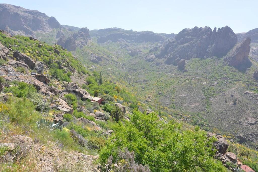 Casa Cueva El Pedregal Tejeda Villa Luaran gambar
