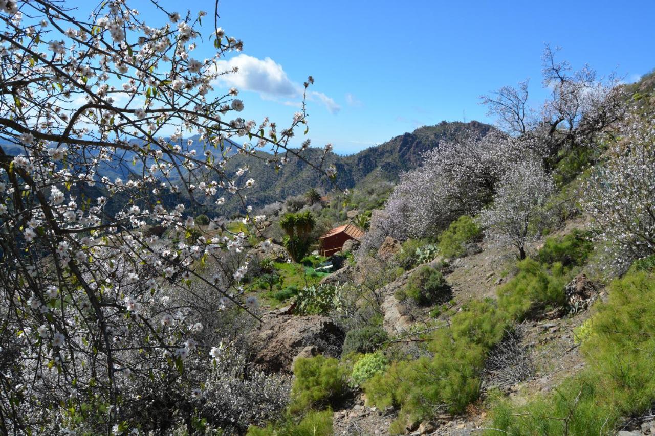 Casa Cueva El Pedregal Tejeda Villa Luaran gambar