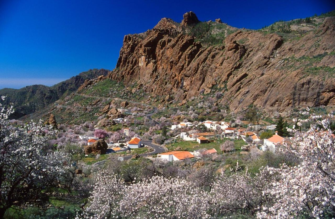 Casa Cueva El Pedregal Tejeda Villa Luaran gambar